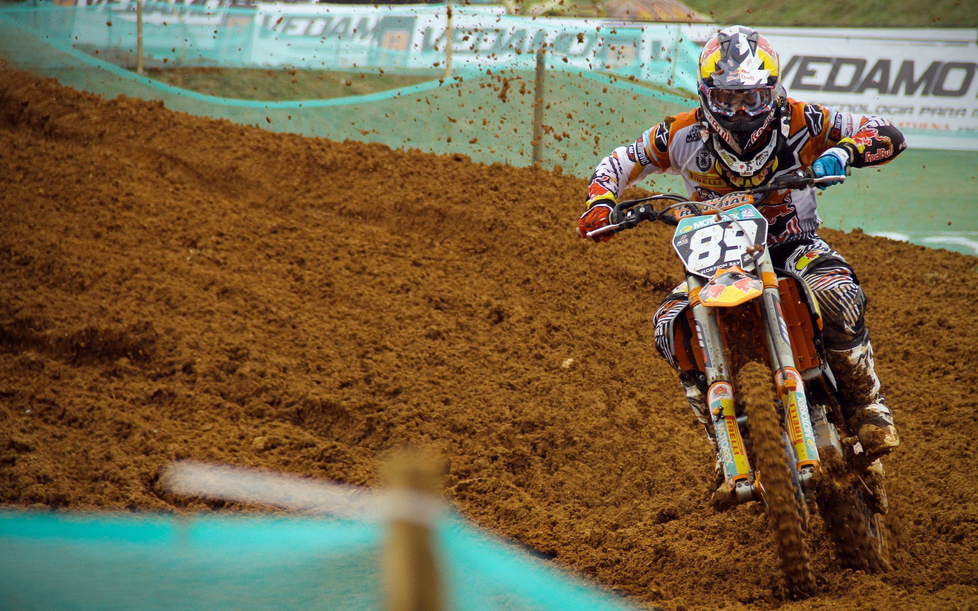 线上打卡：最美观赛地照片大比拼